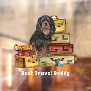 Travelling with my Black and Tan Cavalier