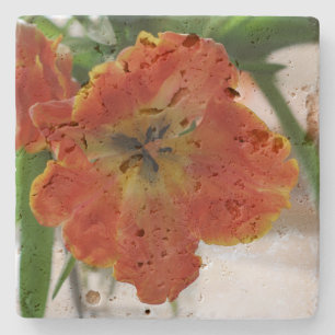 Travertine Coasters square Photography