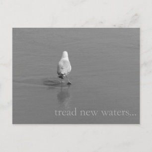 Tread new waters postcard