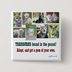 TREASURES found in the pound 15 Cm Square Badge