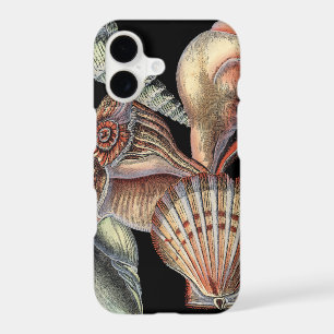 Treasures of the Sea