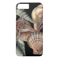 Treasures of the Sea
