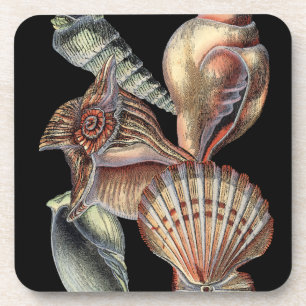 Treasures of the Sea Coaster