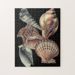Treasures of the Sea Jigsaw Puzzle
