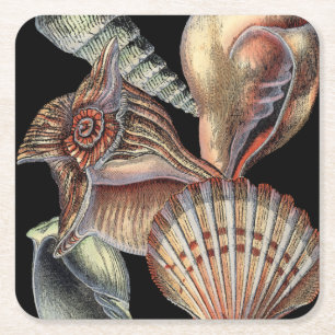Treasures of the Sea Square Paper Coaster