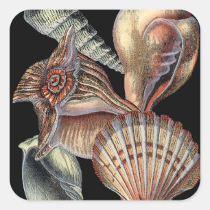 Treasures of the Sea Square Sticker