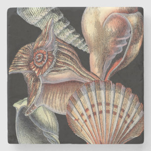 Treasures of the Sea Stone Coaster