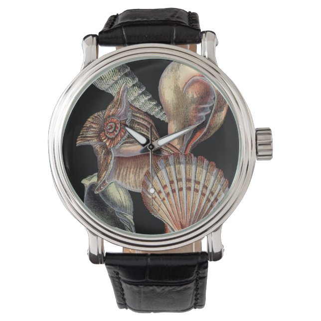 Treasures of the Sea Watch (Front)
