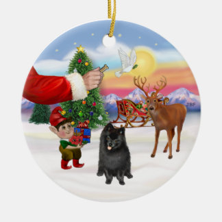 Treat for a Black Pomeranian Ceramic Tree Decoration