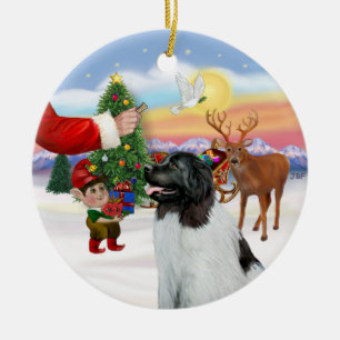 Treat for a Landseer Newfoundland Ceramic Ornament