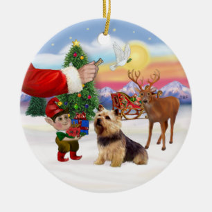 Treat for a Norwich Terrier Ceramic Ornament