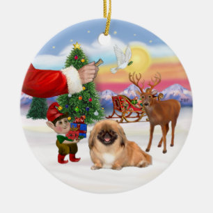 Treat for a Pekingese (#1) Ceramic Tree Decoration