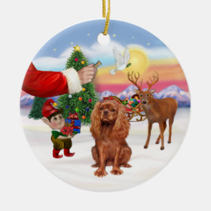 Treat for a Ruby Cavalier King Charles Span Ceramic Tree Decoration