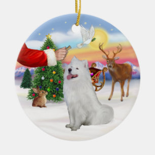 Treat for a Samoyed (#1) Ceramic Ornament