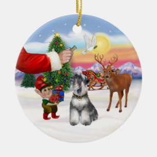 Treat for a Schnauzer (natural ears) Ceramic Ornament