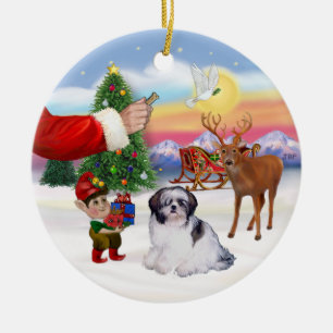 Treat for a Shih Tzu (A) Ceramic Ornament