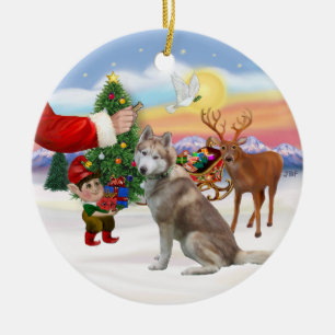 Treat for a Siberian Husky (red) Ceramic Tree Decoration