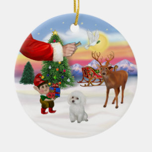 Treat for a White Poodle (Toy) Ceramic Ornament