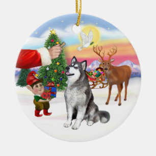 Treat for an Alaskan Malamute Ceramic Ornament
