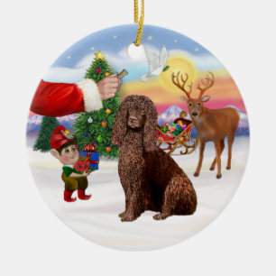 Treat for an Irish Water Spaniel Ceramic Ornament