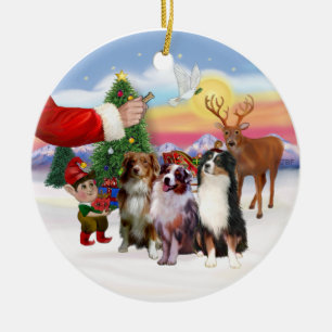 Treat for Three Australian Shepherds Ceramic Ornament