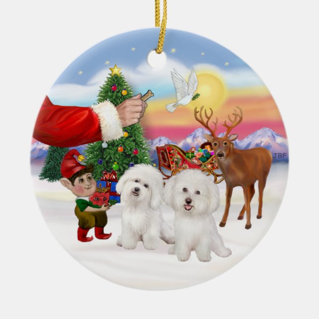 Treat forTwo Bichon Frise Ceramic Tree Decoration (Front)