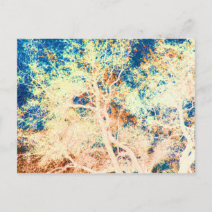 Tree abstract orange and blue background postcard