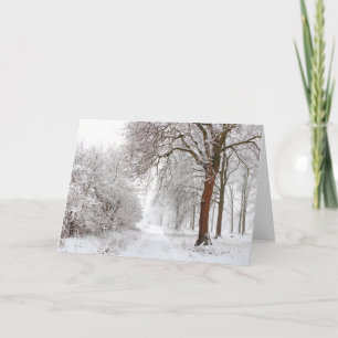 Tree Alley Stupinigi Parc, Italy Card
