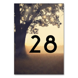 Tree and Lights Rustic Wedding Table Number