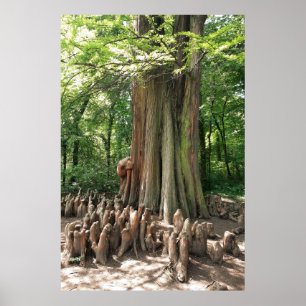 Tree and roots poster