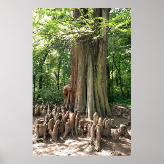 Tree and roots poster