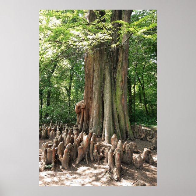 Tree and roots poster (Front)