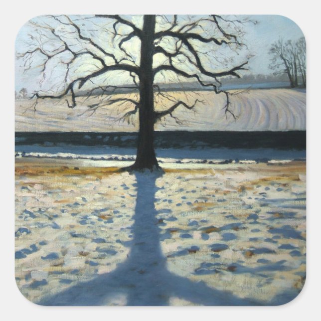 Tree and Shadow Calke Abbey Derbyshire Square Sticker (Front)