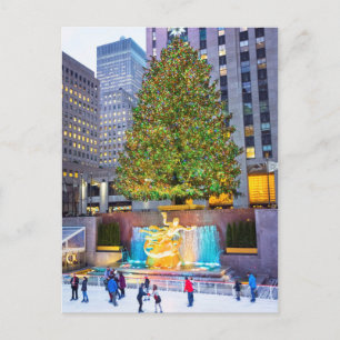 Tree And Skaters 2015 Postcard