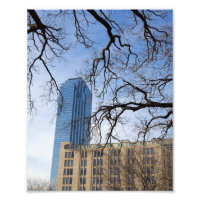 Tree and Tall Building, Dallas, Texas