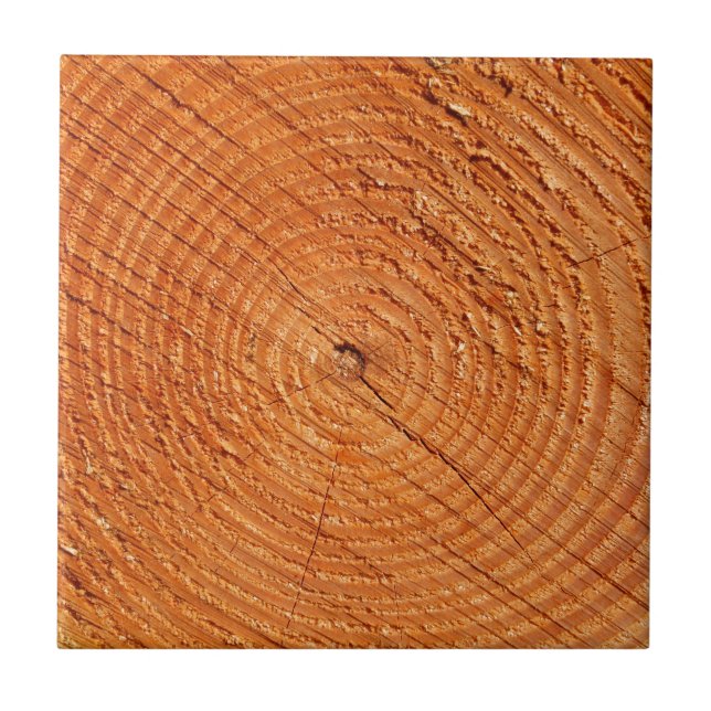 Tree annual rings close up tile (Front)