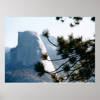 Tree at Half Dome Poster