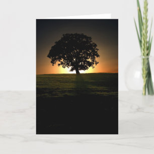 Tree at Sunset. Card by cARTerART.