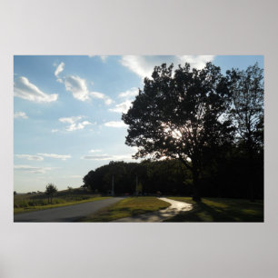 Tree at Valley Forge Poster/ Print