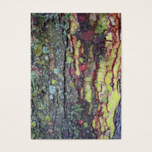Tree Bark