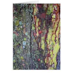 Tree Bark