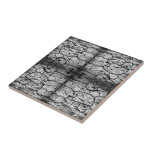 Tree Bark Black And White Photo Closeup Pattern Ceramic Tile