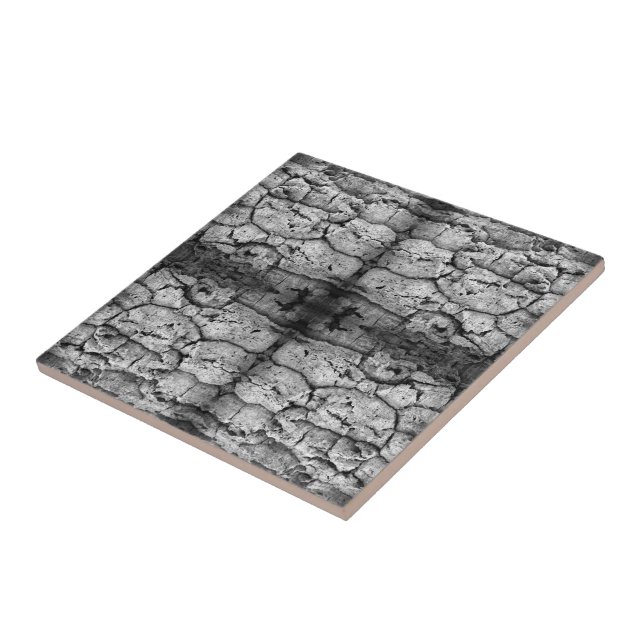 Tree Bark Black And White Photo Closeup Pattern Ceramic Tile (Side)