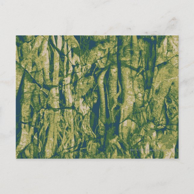 Tree bark camouflage pattern postcard (Front)