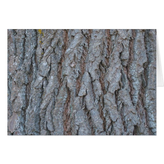 Tree Bark Card (Front Horizontal)