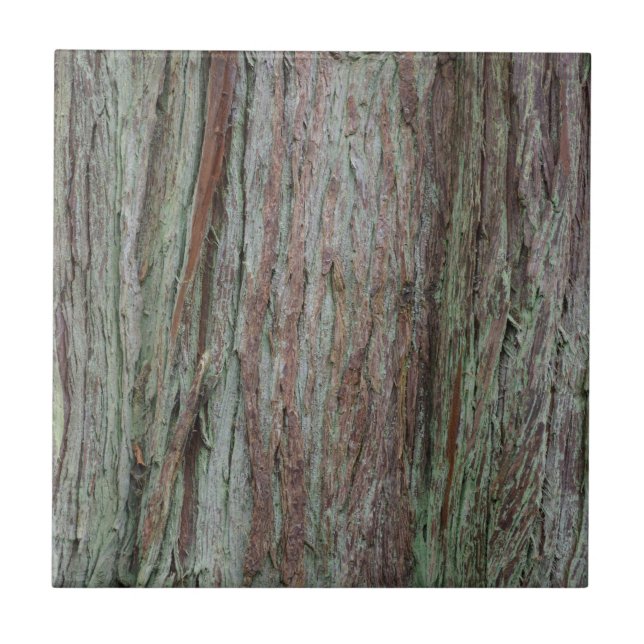 Tree Bark Ceramic Tile (Front)