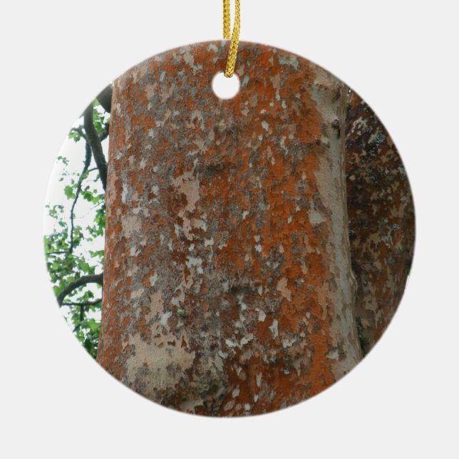 Tree Bark Ceramic Tree Decoration (Front)