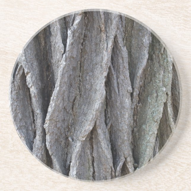 Tree Bark Coaster (Front)
