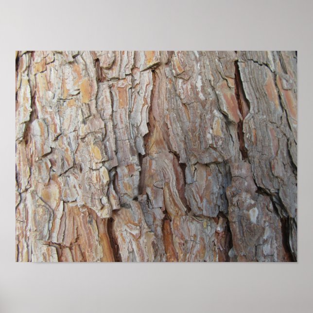 Tree Bark Fall Autumn Patterns Poster (Front)