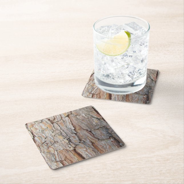 Tree Bark Fall Autumn Patterns Square Paper Coaster (Insitu)